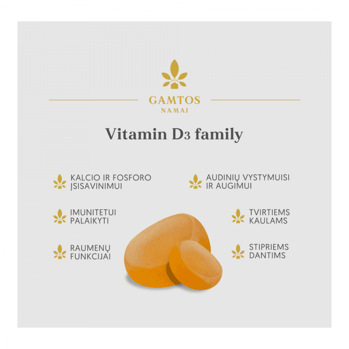 GAMTOS NAMAI vitaminas D3 FAMILY, 60 guminukų-2