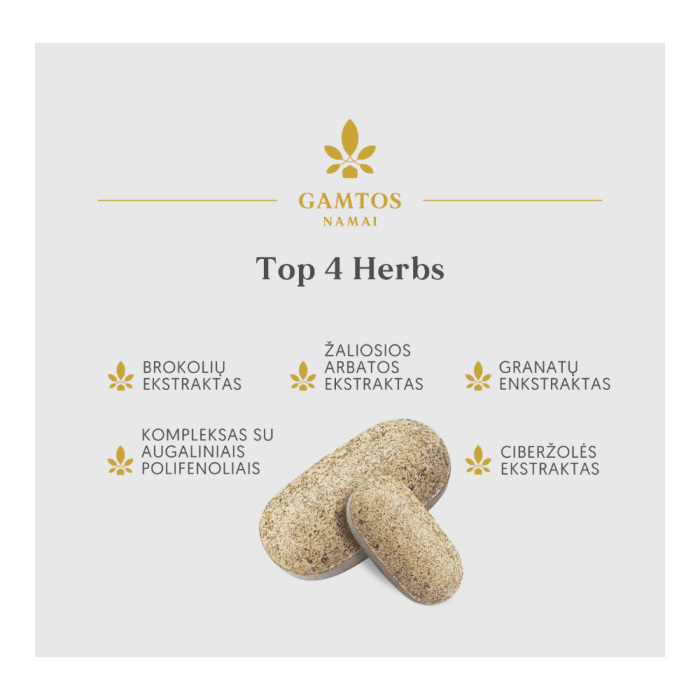 GAMTOS NAMAI TOP 4 HERBS, 120 tablečių-2