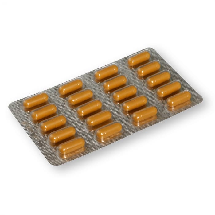 GINKOBIL, 120 mg, Kietosios kapsulės, N40-2