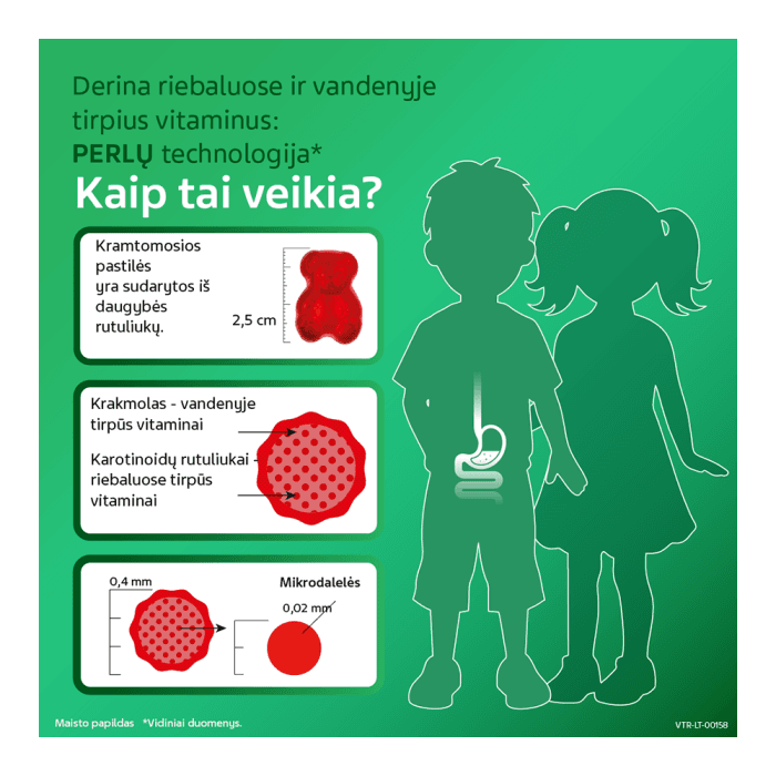 VITIRON KIDS School for BRAIN, 50 kramtomųjų guminukų-3