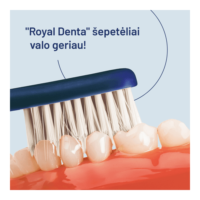 ROYAL DENTA dantų šepetėlių rinkinys SILVER MEDIUM MODERN, 4 vnt.-2