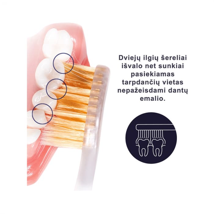 ROYAL DENTA dantų šepetėliai GOLD MEDIUM, 4 vnt.-2