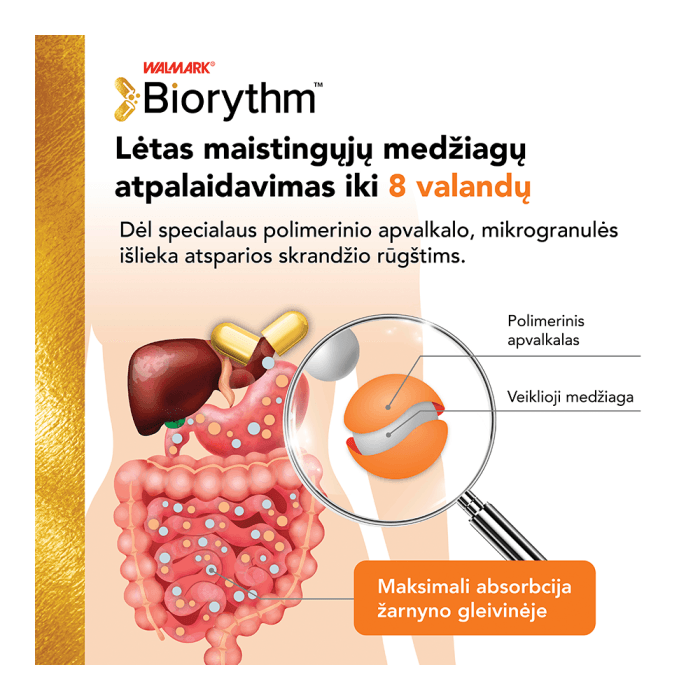 BIORYTHM VITAMIN B12 MAX  (prailginto veikimo vitaminas B12), 30 kapsulių-3