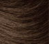 4G GOLDEN CHESTNUT